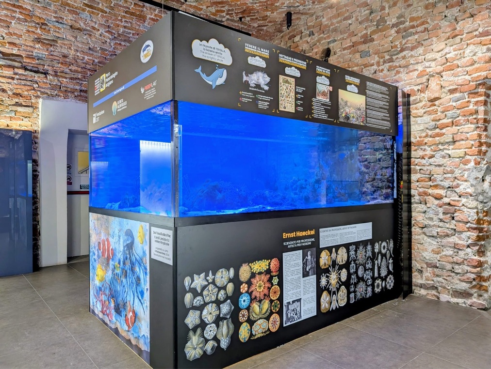 Dal fossile al reef : il mondo dei coralli prende vita